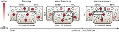 A Synaptic Framework for the Persistence of Memory Engrams